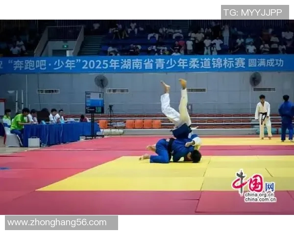 湘西地区体育明星实力对比及排名分析揭示运动员发展潜力